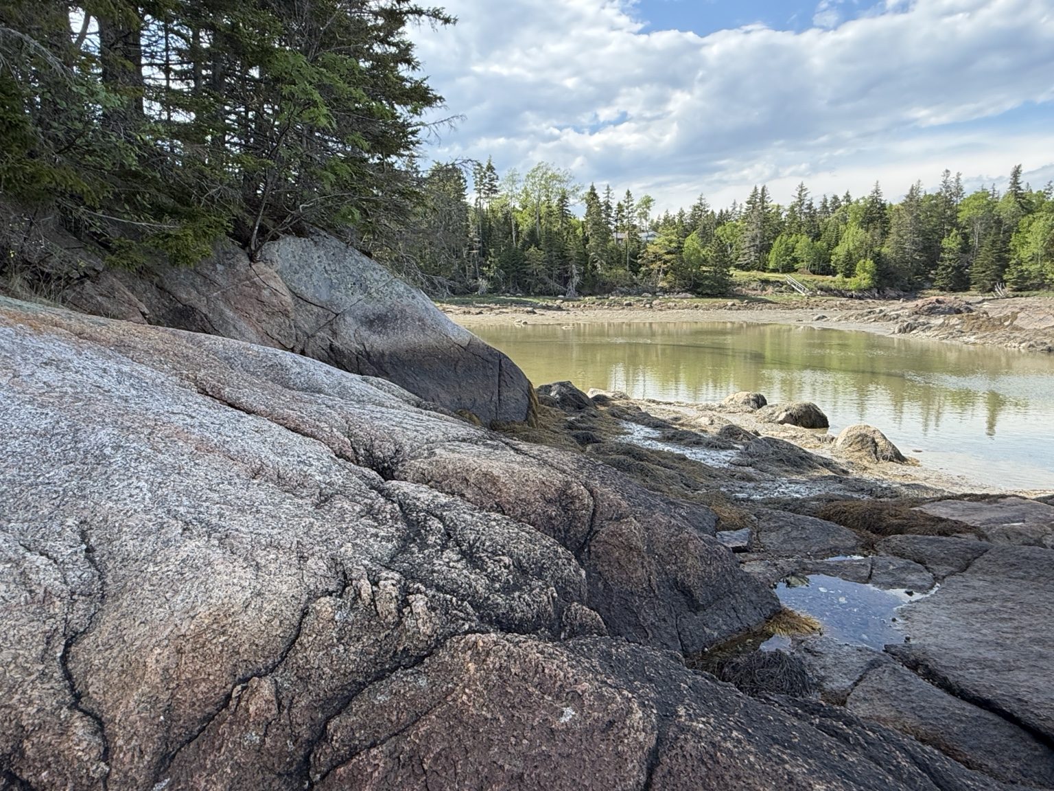 Low tide view of the shoreline at Ledge & Tide
