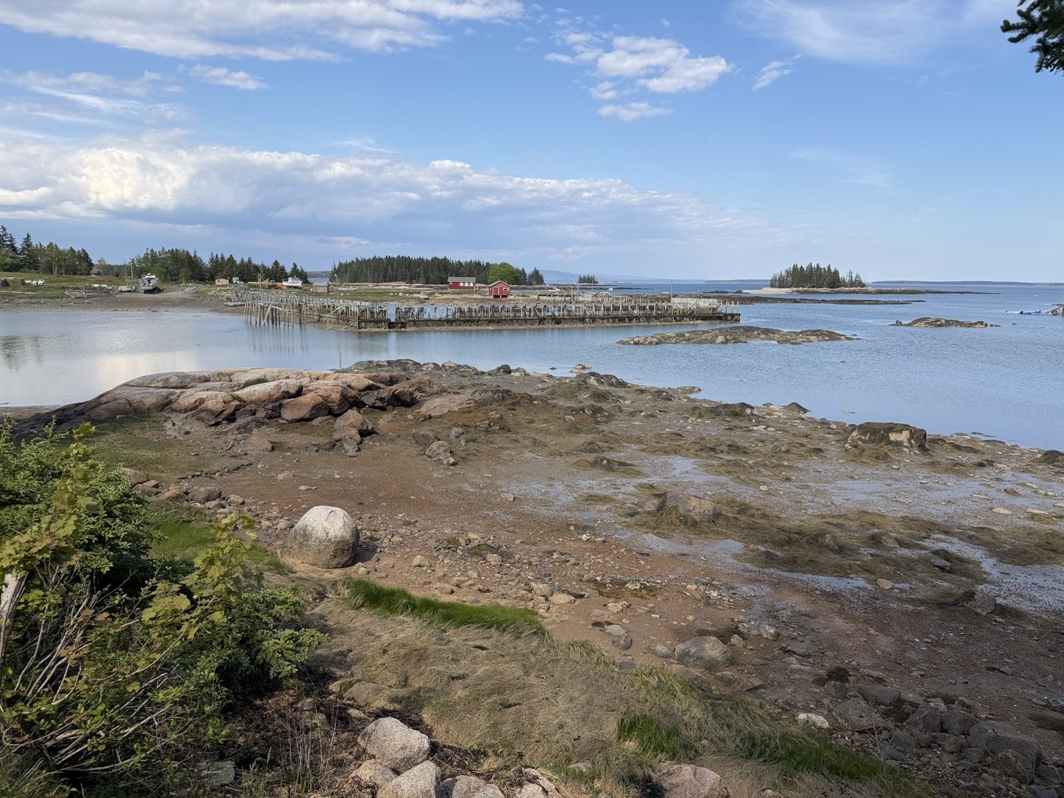 Low tide rocky shoreline at Ledge & Tide